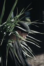 man leaning on green leafed plant