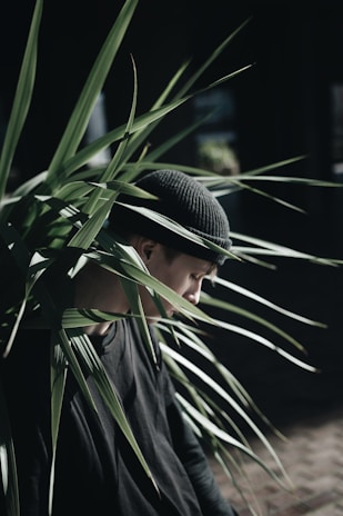 man leaning on green leafed plant