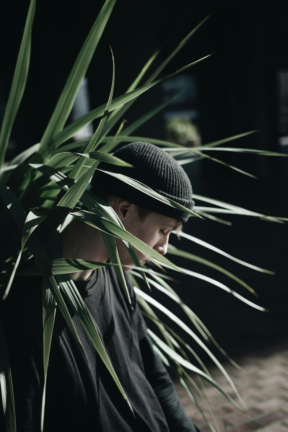 man leaning on green leafed plant