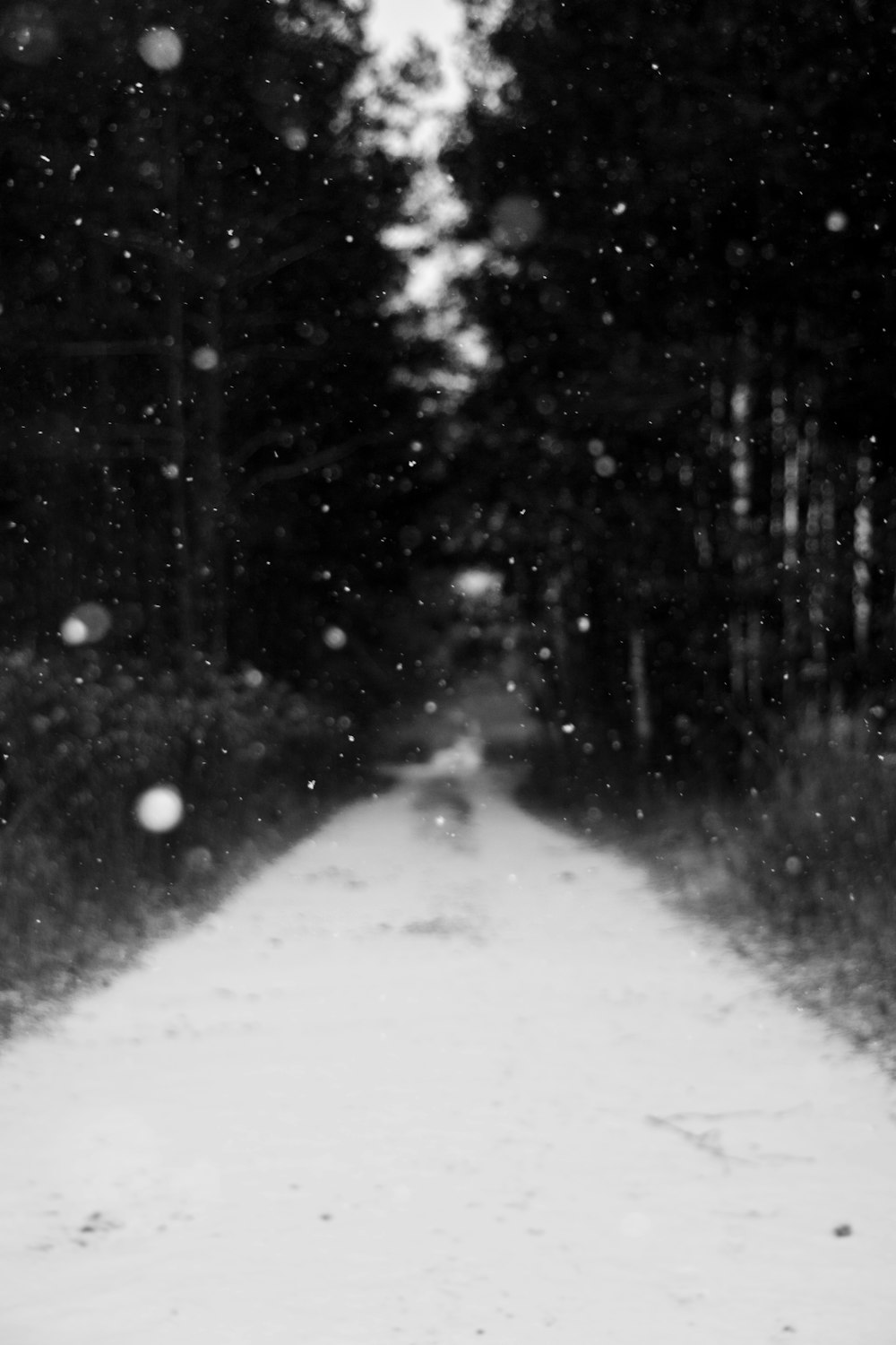 grayscale photo of snow falling