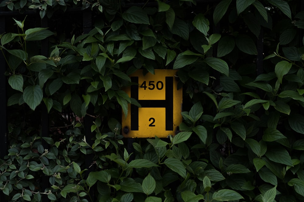 yellow and red H 450 2 signage surrounded by leaves