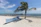 white canoe near palm tree