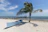 white canoe near palm tree