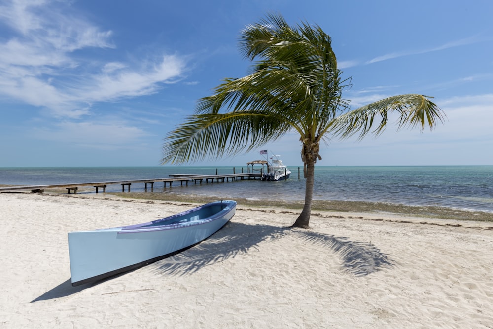 Canoa blanca cerca de palmera