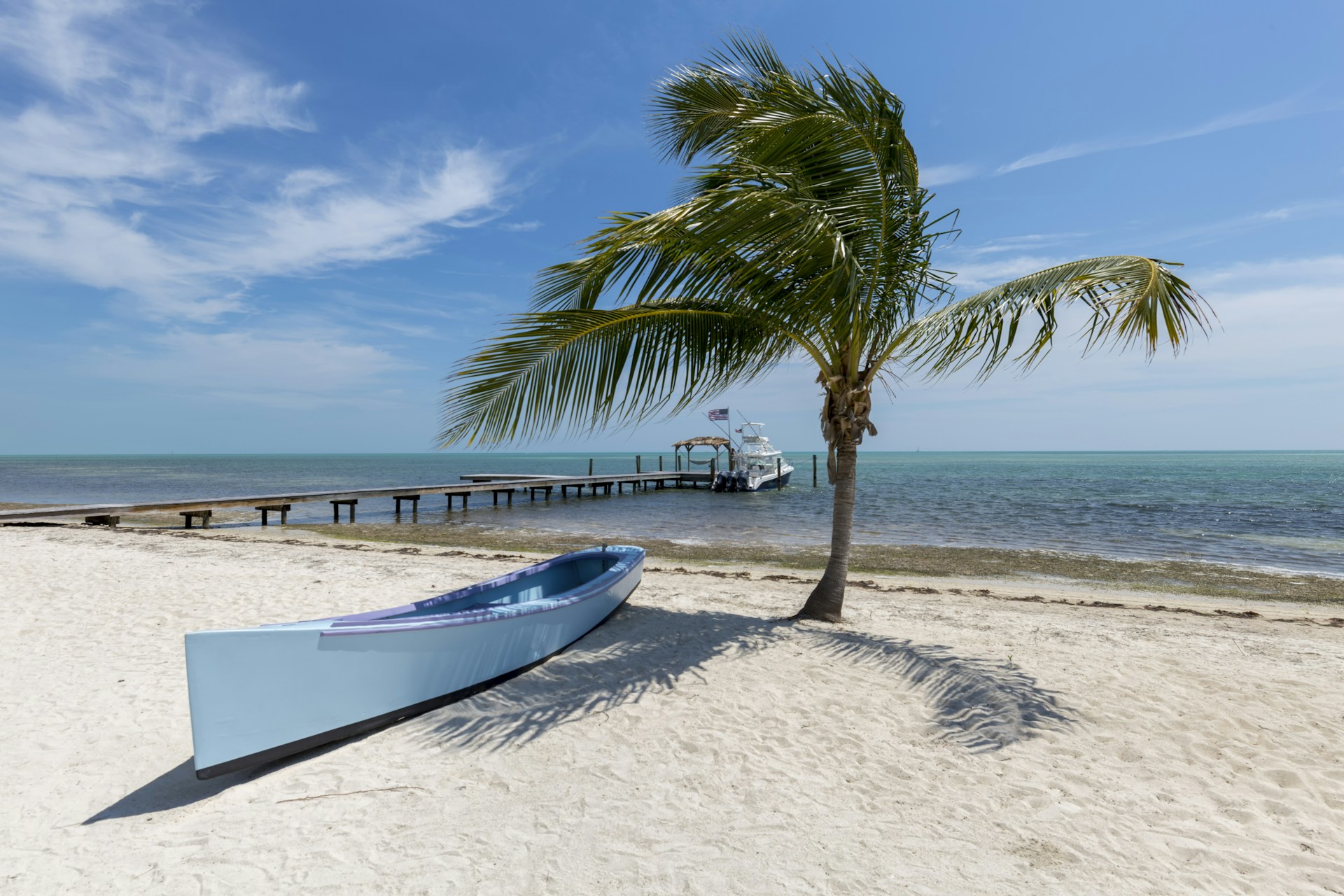 white canoe near palm tree