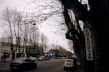 A street scene featuring leafless trees, several parked and moving cars, and a sign on a building that reads 'FOTOCOPIAS'. The atmosphere appears overcast with a moody, autumnal feel. There are buildings lining the street, and the setting is urban.