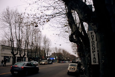 A street scene featuring leafless trees, several parked and moving cars, and a sign on a building that reads 'FOTOCOPIAS'. The atmosphere appears overcast with a moody, autumnal feel. There are buildings lining the street, and the setting is urban.