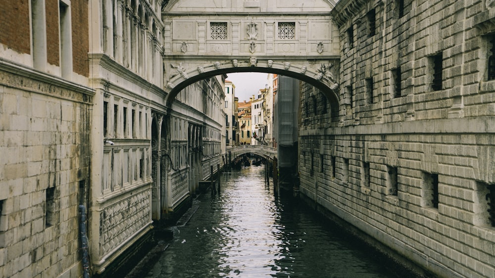 Callejón del puente de hormigón blanco