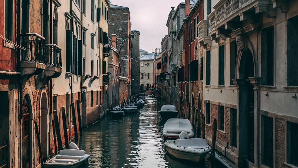 body of water between white and brown concrete buildings during daytime