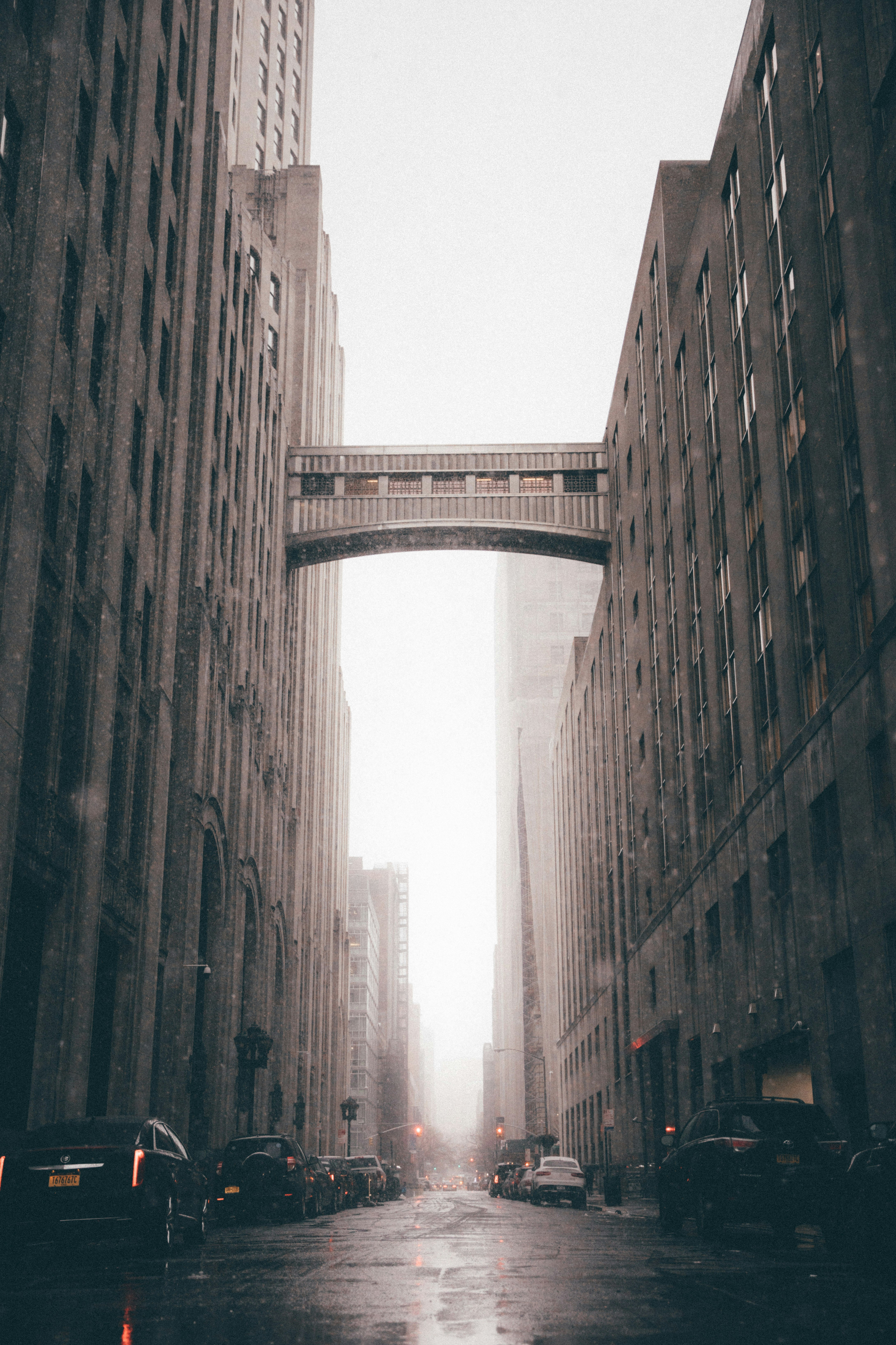 https://images.unsplash.com/photo-1520528938231-ca6d3d2f9608?ixlib=rb-1