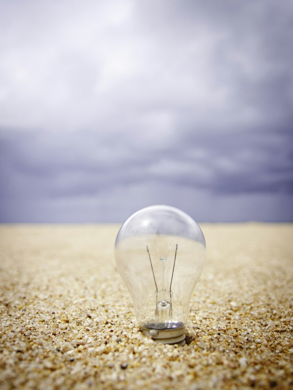 昼間の砂浜の透明なガラス電球