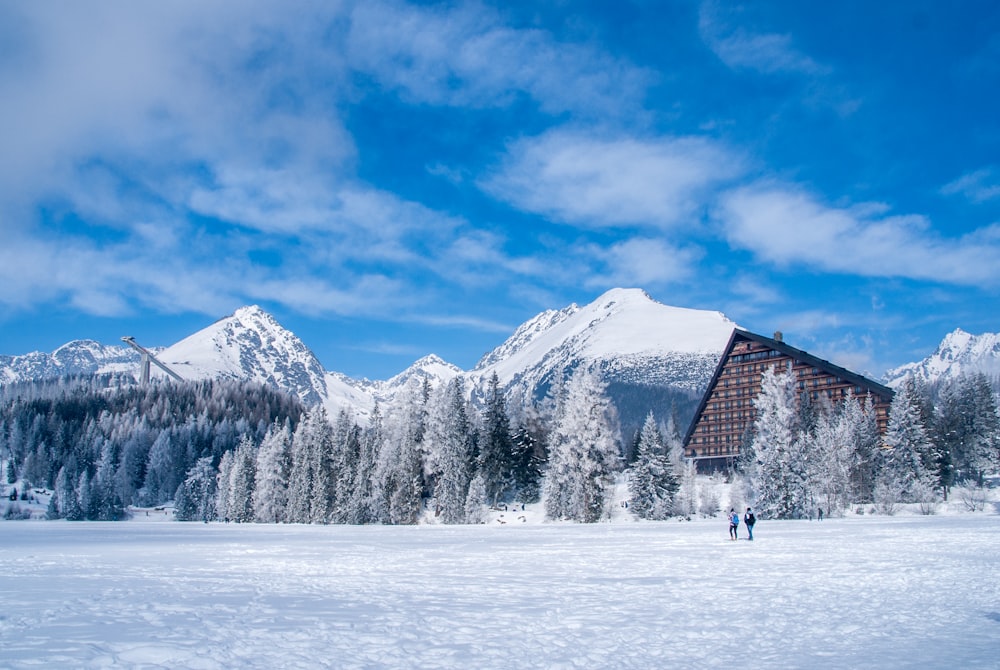 two person standing on snowfield