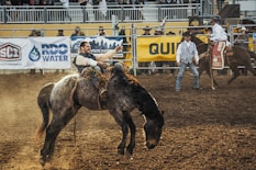 man riding horse