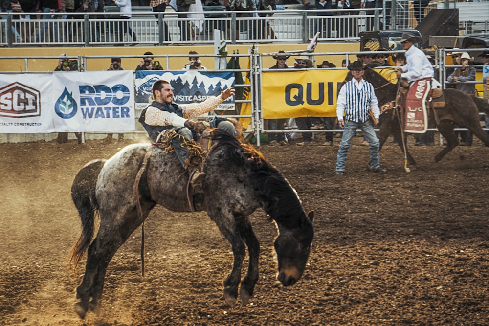 man riding horse