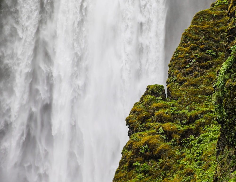 mossy rock near waterfalls