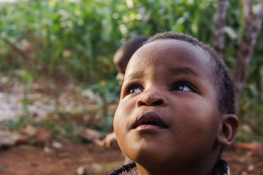 boy looking up near plants