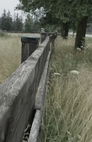 A weathered wooden fence stretches into the distance, bordered by tall grass and wildflowers. The scene features several trees and a soft, overcast sky in the background.