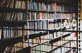 assorted books display on shelf