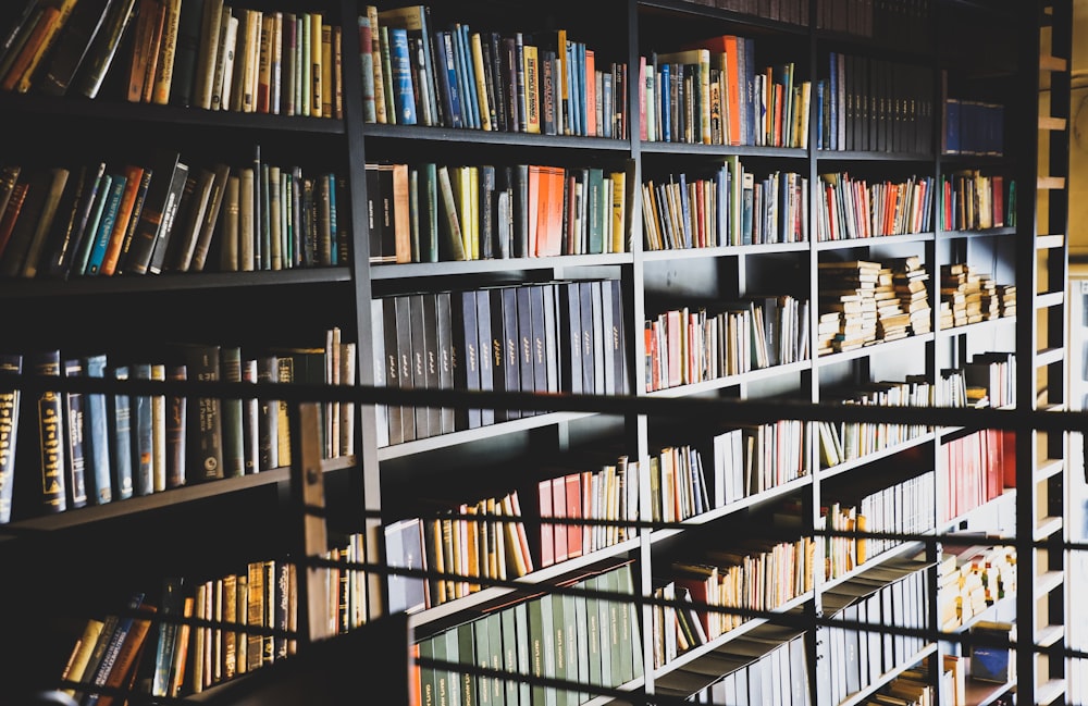 assorted books display on shelf