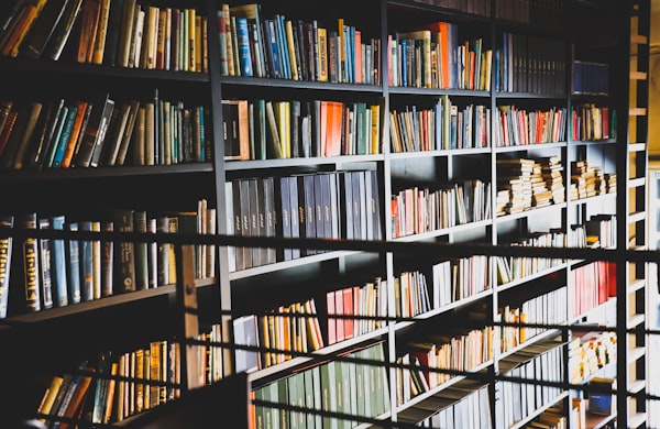 Tall library shelves, with an equally tall ladder to the very right.