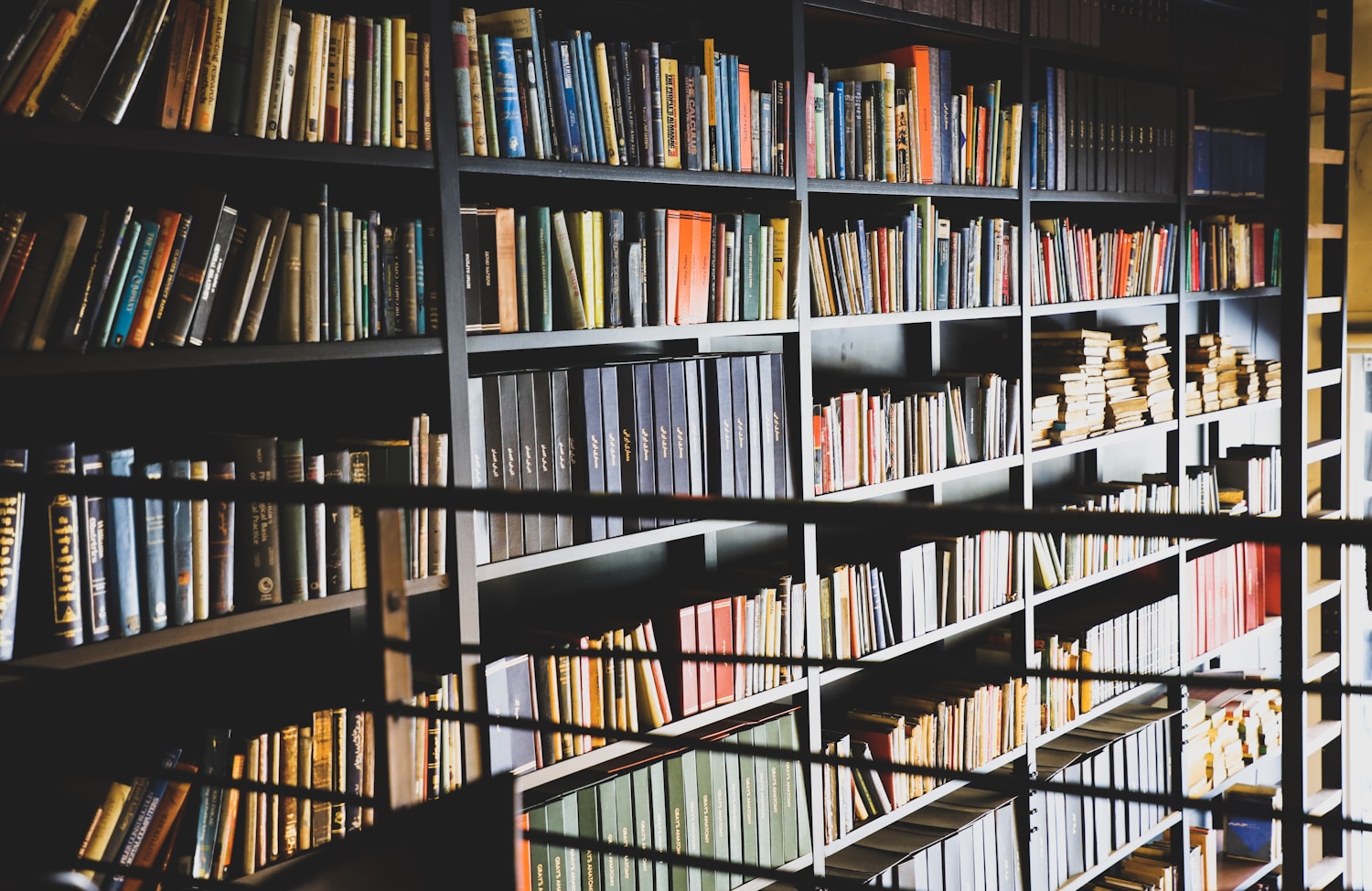 Wide Selection of Books Image