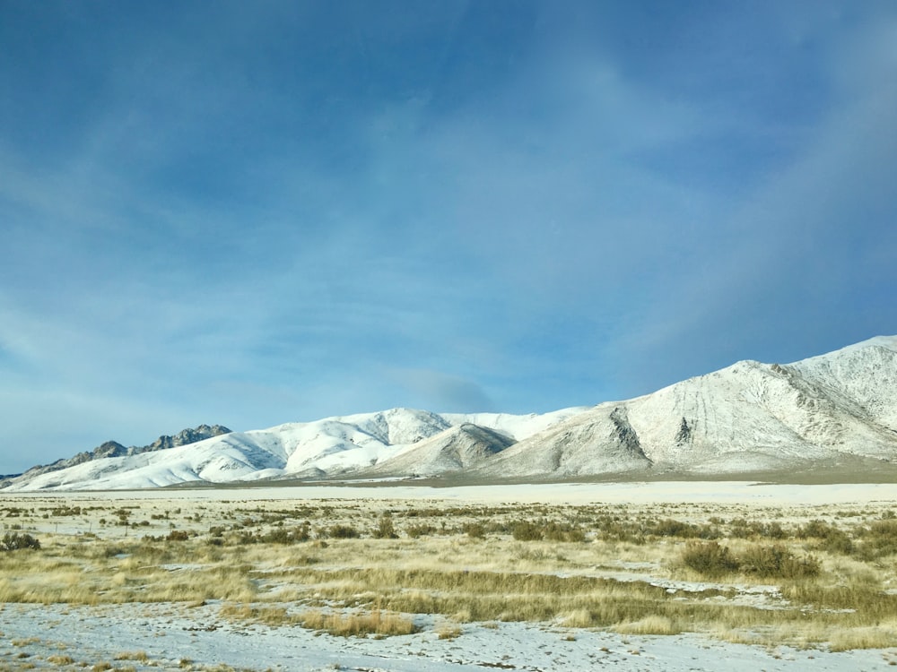 Foto de paisaje de montaña durante el día