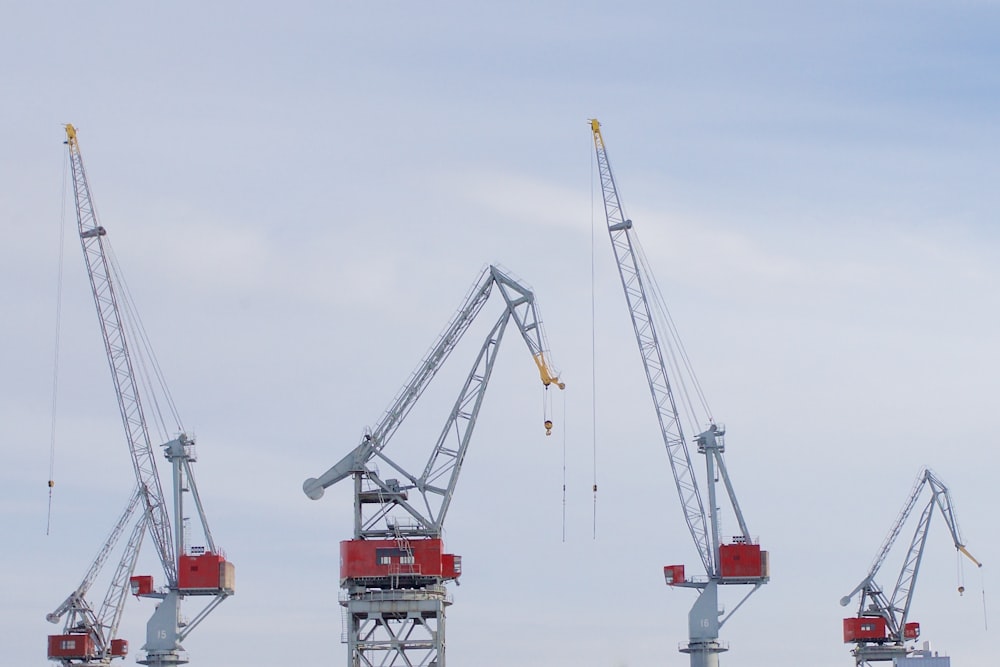 timelapse photography of red crane collage