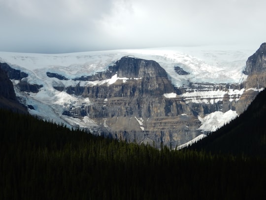snow-capped rockhill photo in Jasper Canada