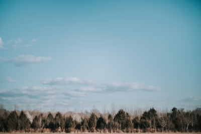 A serene landscape with green trees and a peaceful sky.