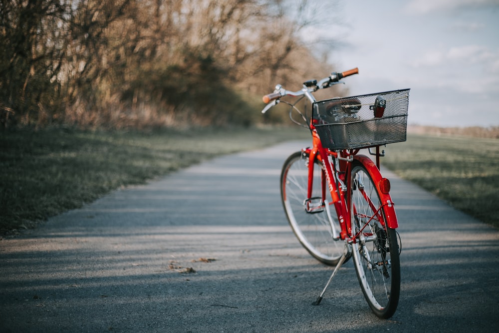 red bicycle on road near trees