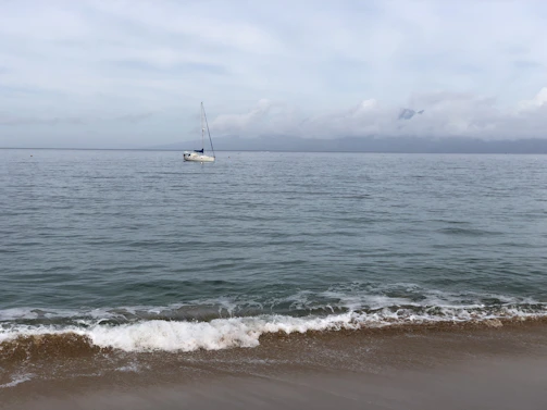 A serene coastal scene with a gentle breeze and a sailboat on calm blue waters.
