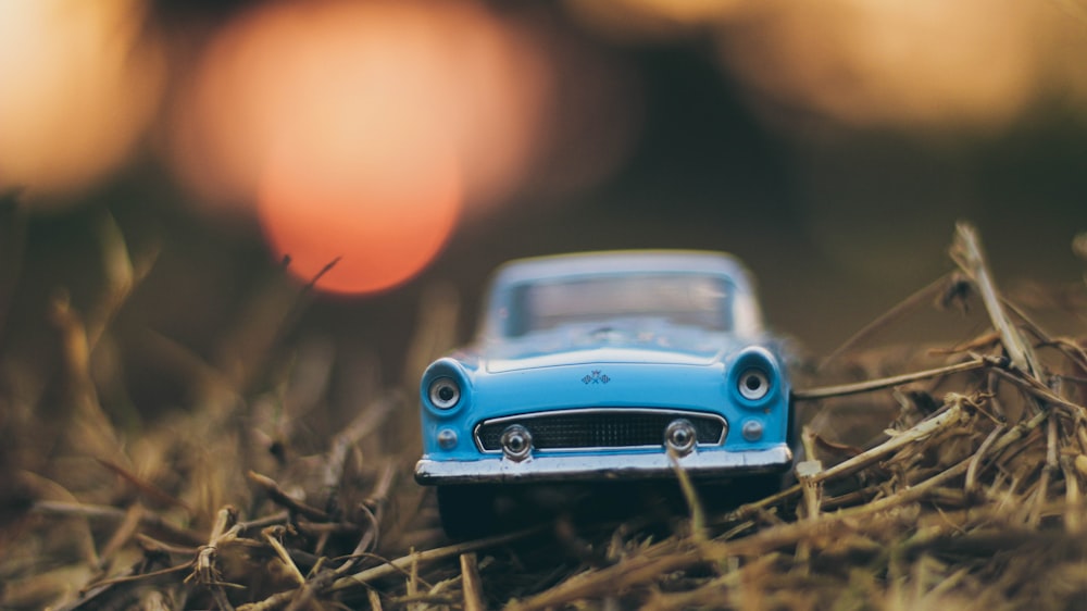 blue toy car on brown grass