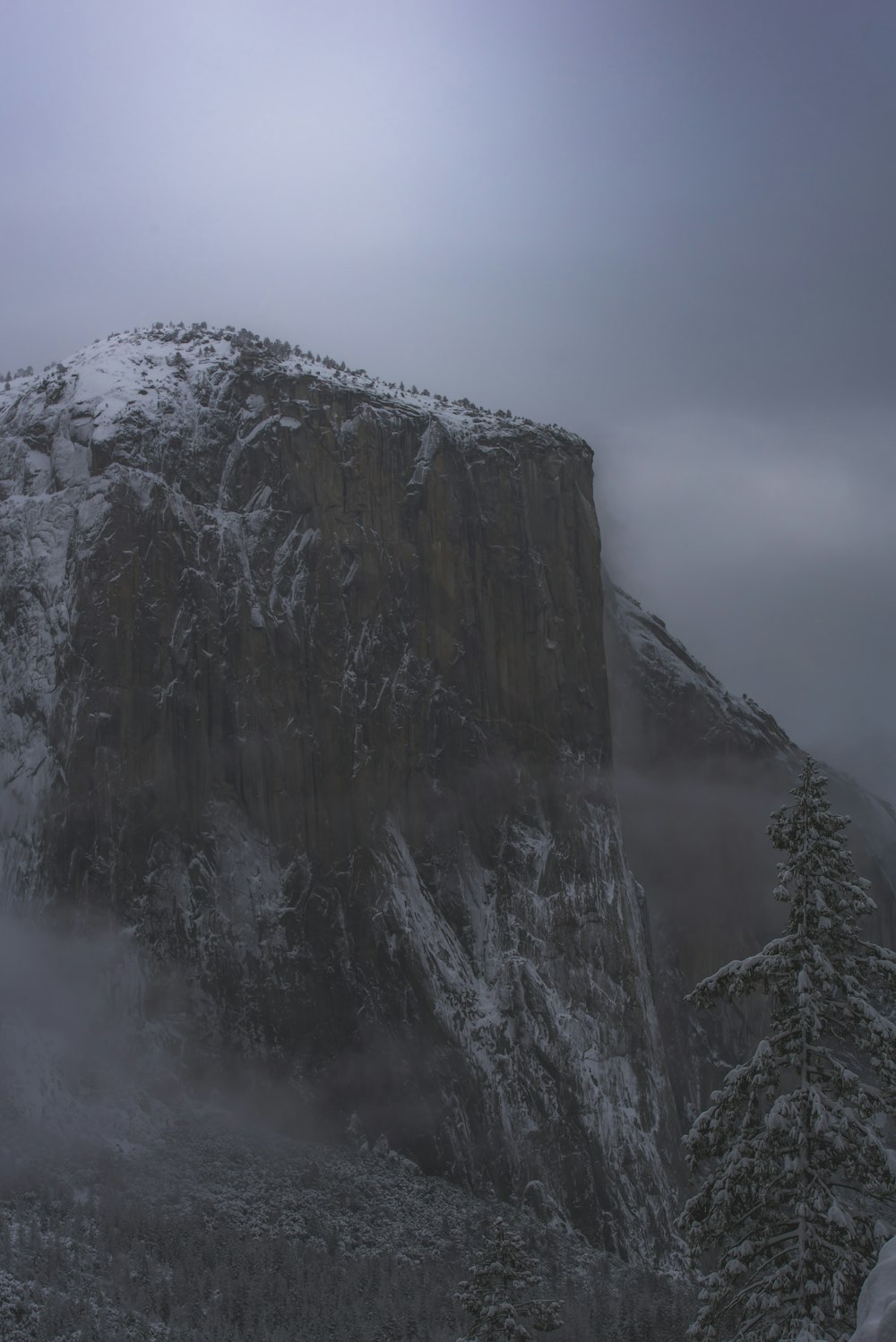 snow-covered mountain and trees