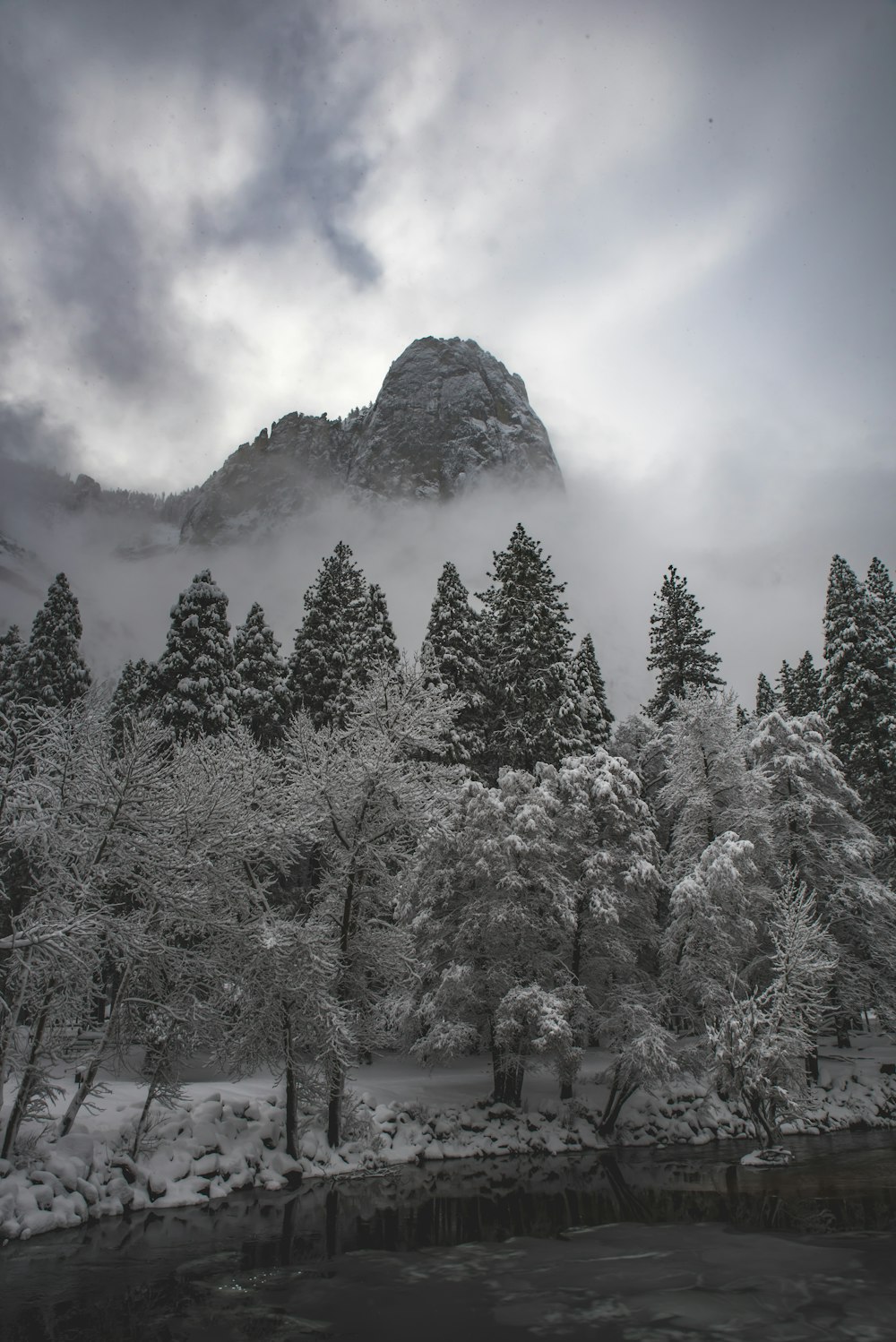 Graustufenfotografie von Bäumen und Bergen
