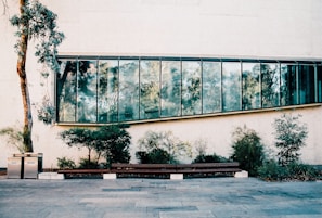 A modern architectural facade with large reflective glass windows set into a beige wall. In the foreground, there is a long wooden bench surrounded by small green shrubs and a single slender tree. Two waste bins labeled 'WASTE' and 'RECYCLE' are positioned near the tree. The scene is outdoors, with a paved area in front of the building.