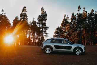 grey and blakc SUV across trees