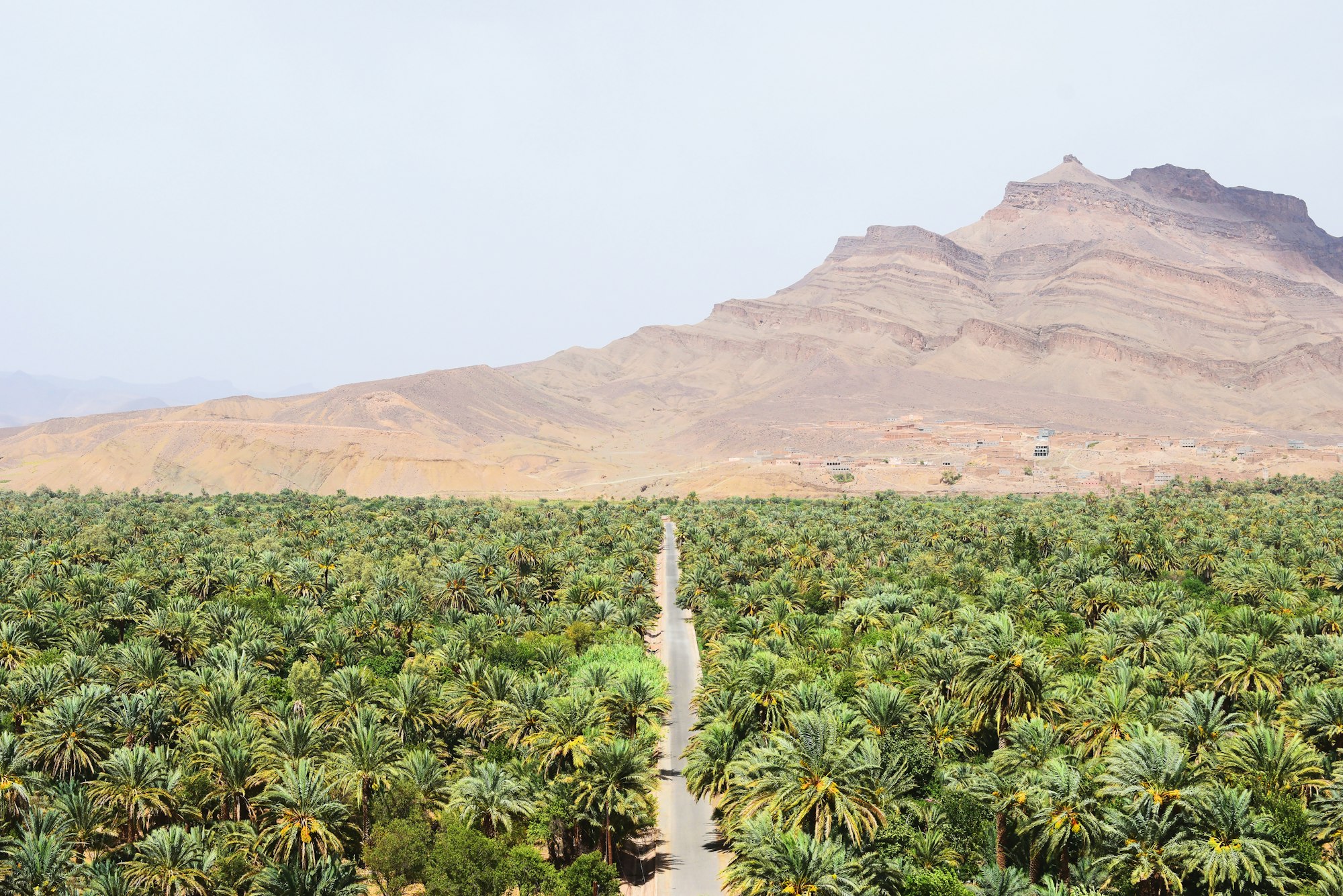 Whilst on a tour through the Moroccan desert, we stopped to overlook the oasis of palm trees in the Draa Valley.