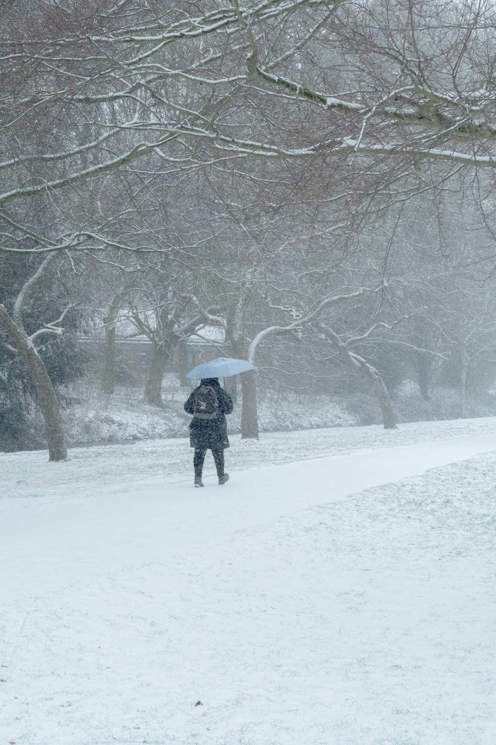 Person, die auf einem Schneefeld spazieren geht, umgeben von kahlen Bäumen
