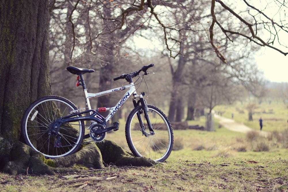 weißes, schwarzes und rotes vollgefedertes Fahrrad, das tagsüber an einen Baum lehnt