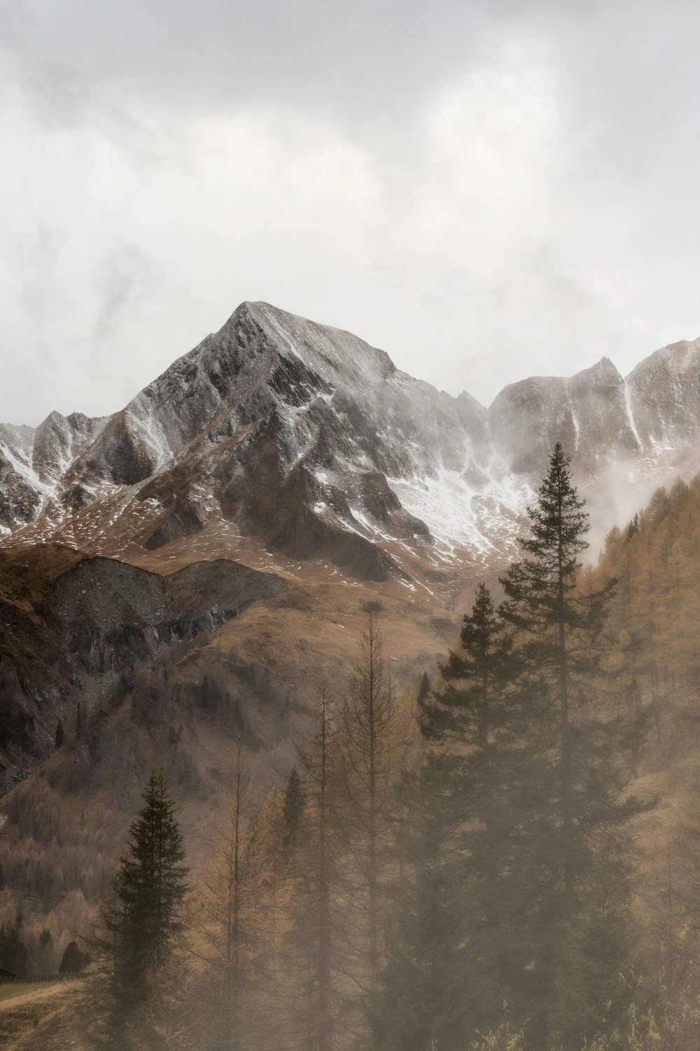 green pine trees with distance to grey and white mountain under white sky