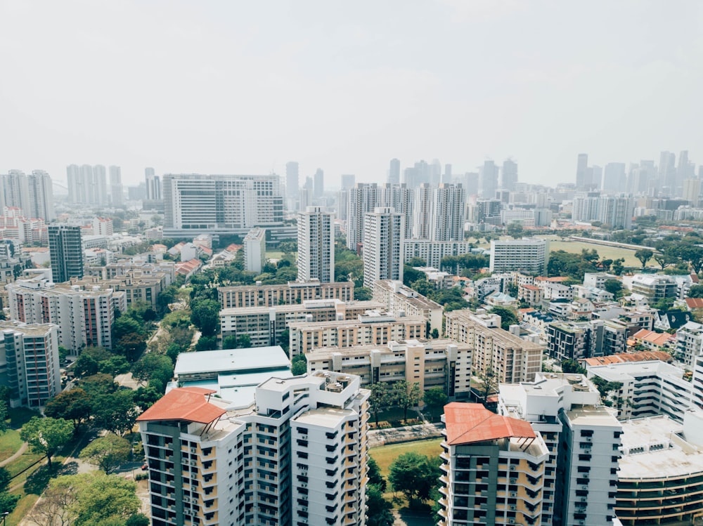 aerial photo of city