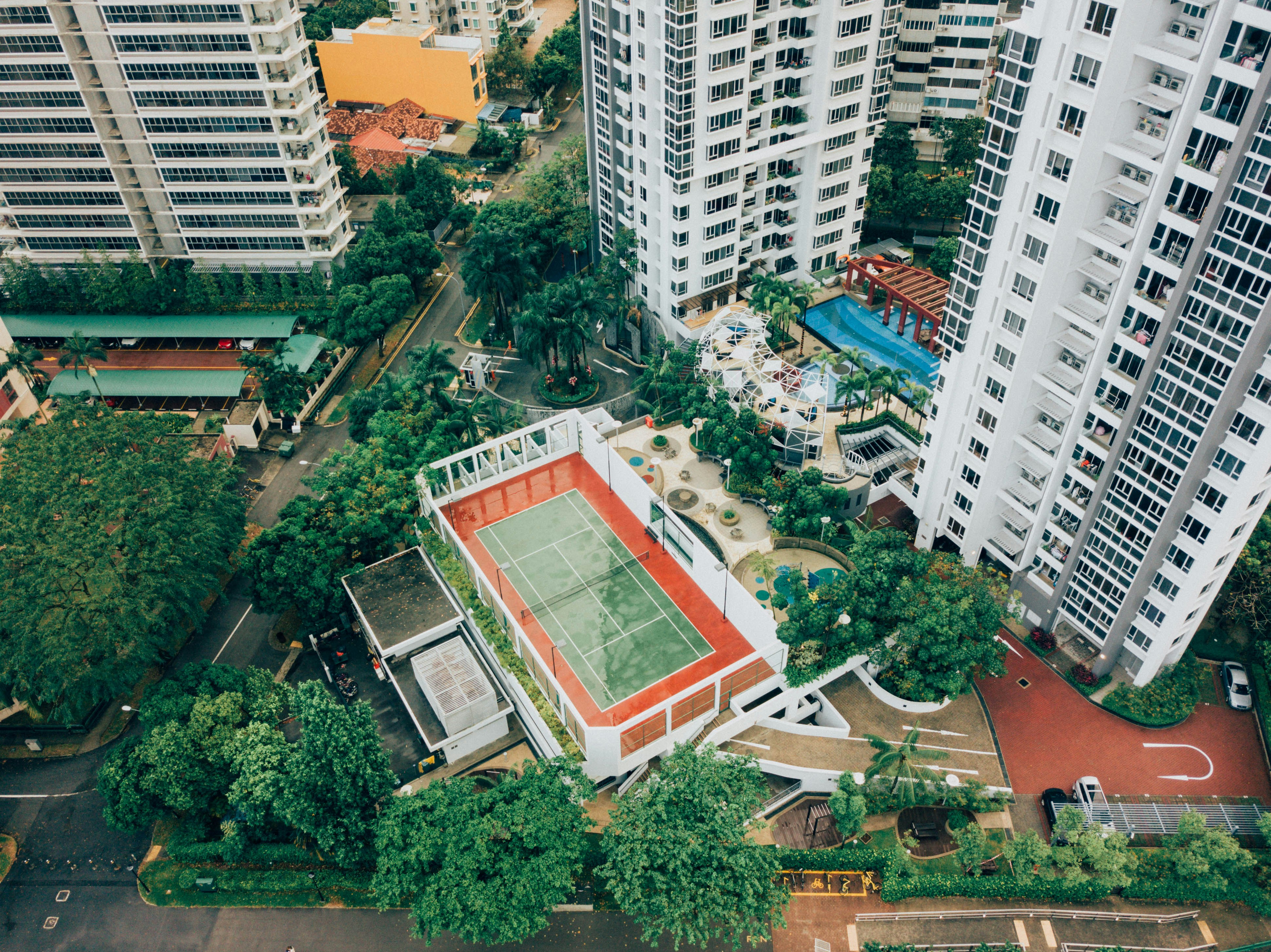 green leafed trees near concrete buildings