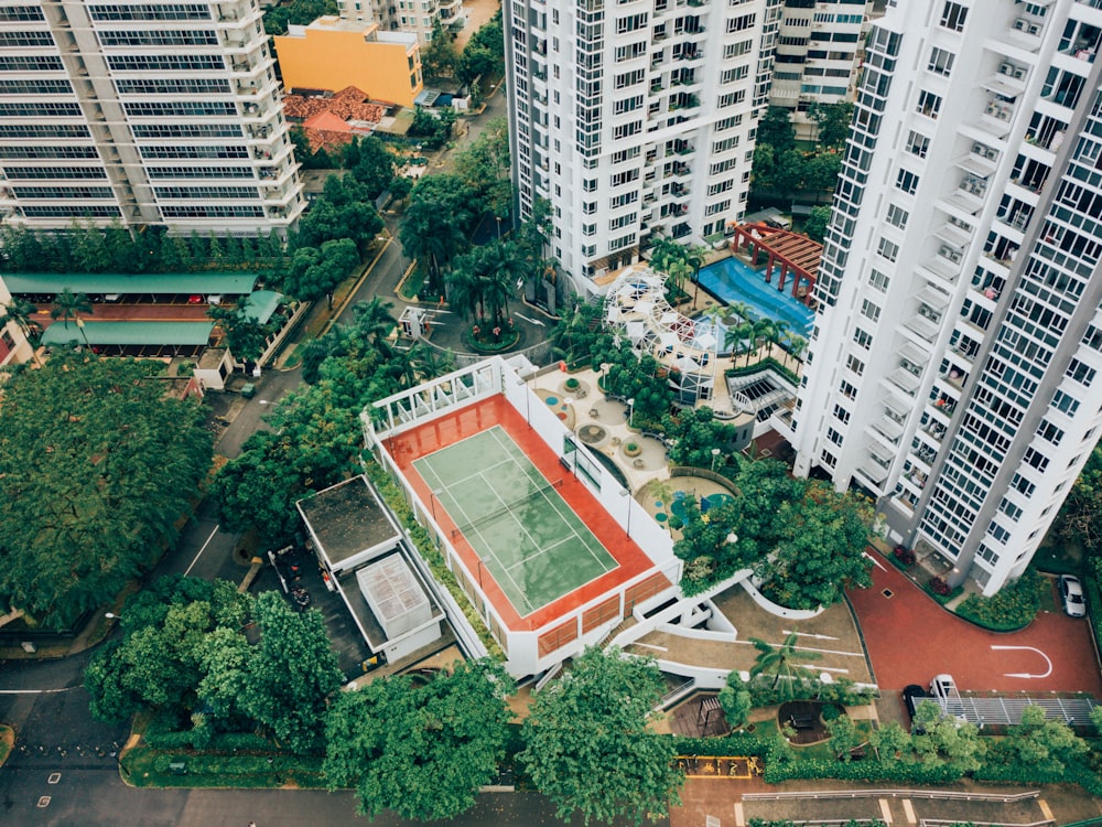 green leafed trees near concrete buildings