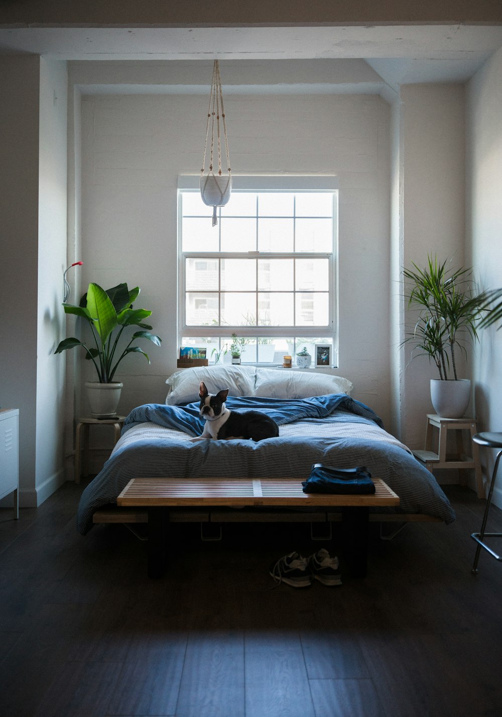 100+ Bedroom Pictures | Download Free Images on Unsplash