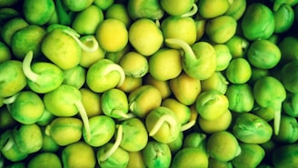 Macro shot revealing the delicate texture and vibrant green color of Pisum sativum seeds.