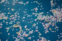 Colorful confetti scattered over a dark teal surface, including various shapes and sizes, primarily circular in a mix of pastel and bright colors.