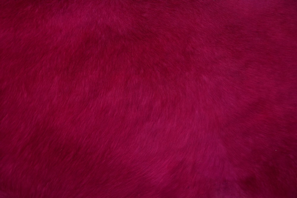 Gros plan d’une texture de fourrure rouge