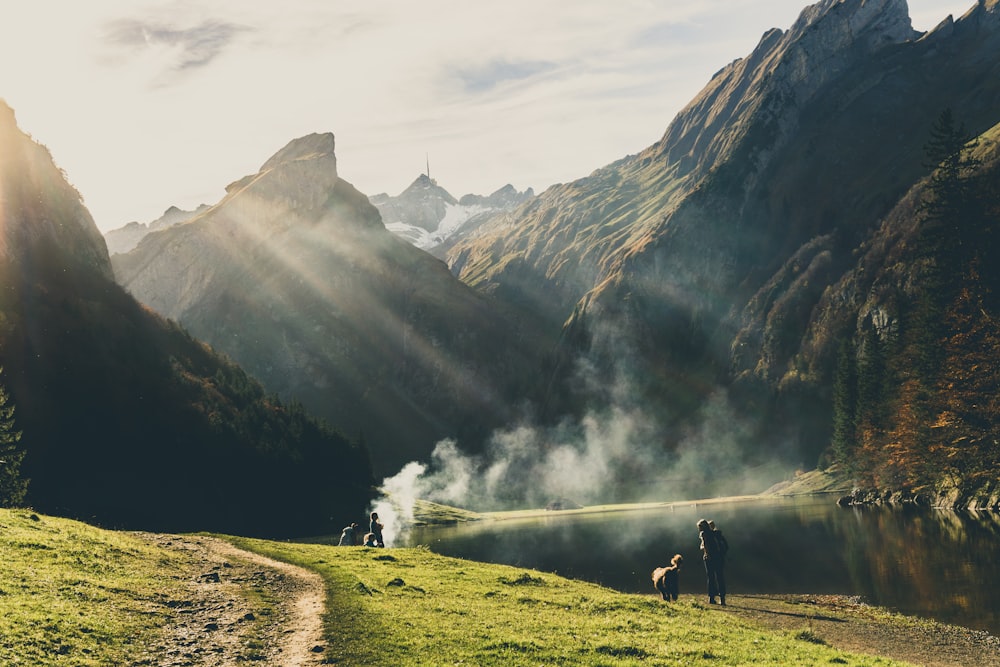 group of people making smoke during daytime