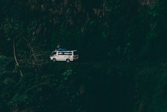 white van surrounded by trees