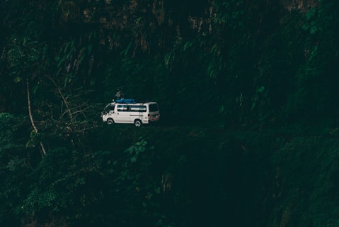 white van surrounded by trees